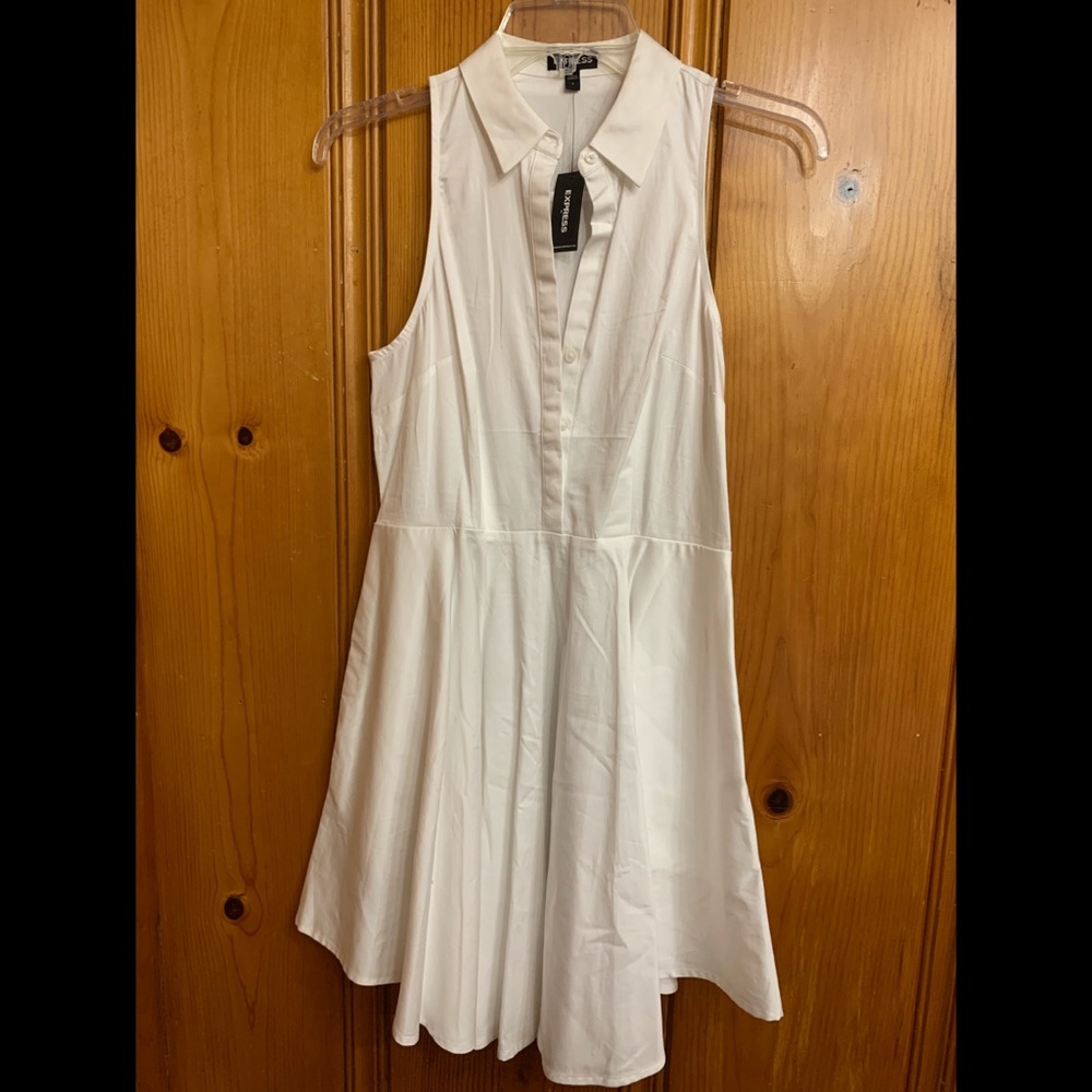 Express Nini button down dress